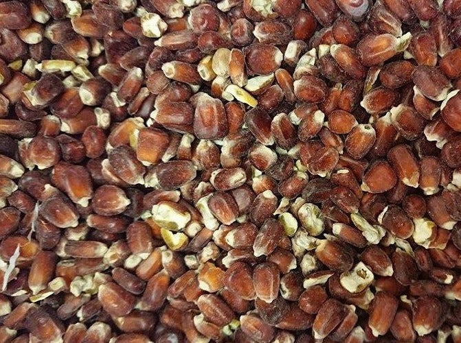 Red Maize (Dry)