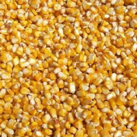 Maize (Dry)
