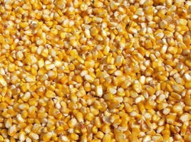 Maize (Dry)