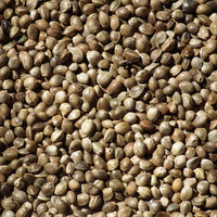 Hemp Seed (Dry)