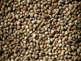 Hemp Seed (Dry)