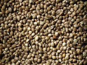 Hemp Seed (Dry)